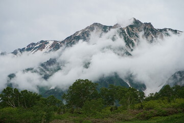 白馬三山　栂池高原　残雪　大雪渓　夏休み　ハイキング　トレッキング　山　長野