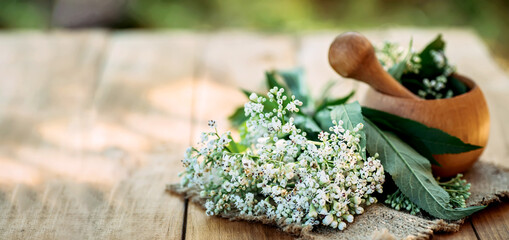 Fresh valerian flowers in wooden plate on table. mortar with prepared potion of valerian root. use...