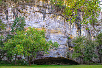 Cave in the forest