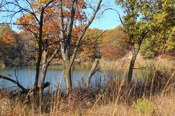 Autumn by the Pond