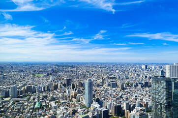 Fototapeta na wymiar 東京　都庁から眺める都市風景