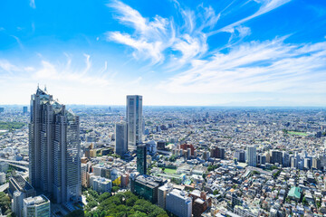 Fototapeta premium 東京 都庁から眺める都市風景