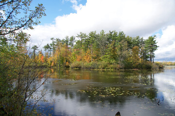 Fototapeta premium Reflections of colourful trees in a lake 