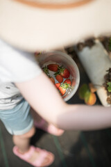 Young girl child wearing a hat in a greenhouse on a bright sunny summer day collecting fresh organic juicy red fruit strawberries and placing in her bucket broadrim hat blur cute  