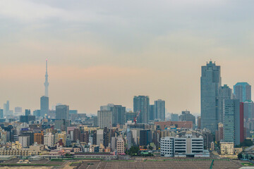 Fototapeta na wymiar 東京の都市風景とスカイツリー