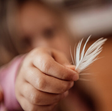 feather in hand