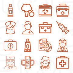 16 pack of practitioner  lineal web icons set