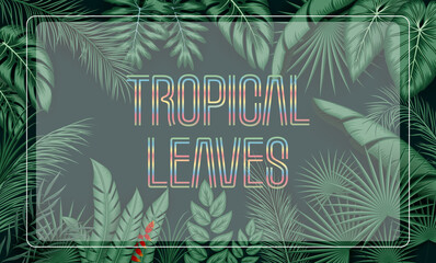 Tropical leaves background with jungle plants