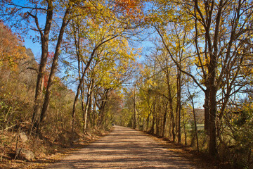 dirt road through the country