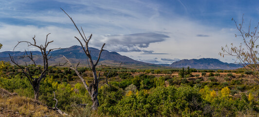 panoramic view of dry trees, mountains and fields and blue sky with clouds