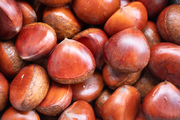 たくさんの栗/マロン/木の実/お菓子素材