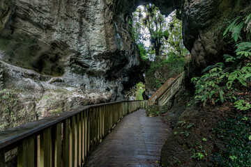 Natural bridge and caves on Mangapohue, Waikato - New Zealand. September 2020