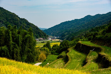 密乗院