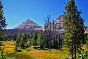 Lake Cuberant hiking trail views of ponds, forest and meadows with Bald Mountain Mount Marsell in Uinta Mountains from Pass Lake Trailhead, Utah, United States.
