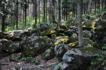 遠野・五百羅漢