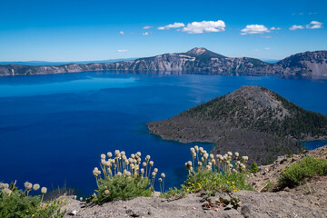 Fototapeta na wymiar Wizard Island view of Crater Lake National Park in Oregon in summer. Wildflowers in foreground