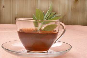 freshly cooked sage tea in a glass cup