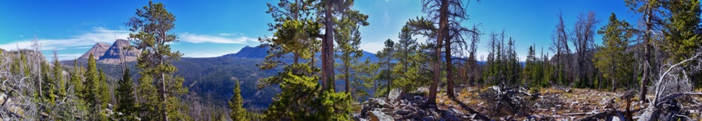 Lake Cuberant hiking trail views of ponds, forest and meadows with Bald Mountain Mount Marsell in Uinta Mountains from Pass Lake Trailhead, Utah, United States.