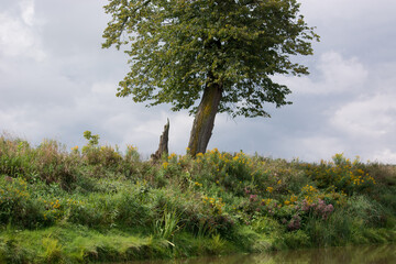 The Saugeen in spring