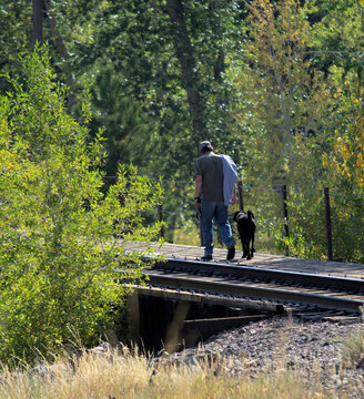 Man walks his dog along the railroad tracks in a forested area of Western Montana.