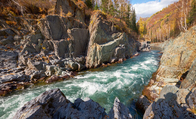 Fototapeta premium Altai river Kumir