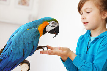 Child with ara parrot © Yay Images