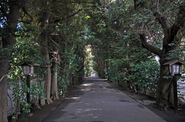 Fototapeta premium 城下町岩槻・久伊豆神社 参道