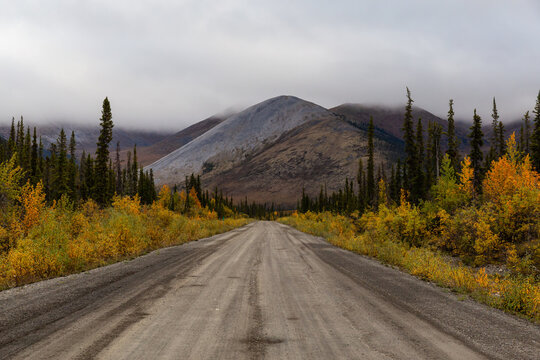 View of Scenic Road, Trees and Mountains on a Fall Day in Canadian Nature. Taken near Tombstone Territorial Park, Yukon, Canada.