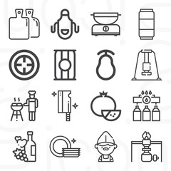 16 pack of cook  lineal web icons set