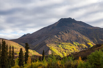 View of Scenic Mountain and Trees on a Fall Morning at Sunrise in Canadian Nature. Taken in Tombstone Territorial Park, Yukon, Canada.