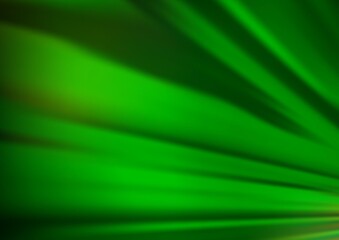 Light Green vector background with straight lines.