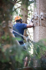 A man in a harness and safety equipment climbing through a challenging rope tree climbing course on a bright sunny summer day
