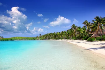 Crédence de cuisine en verre imprimé Plage tropicale Contoy Island palm treesl plage des Caraïbes Mexique