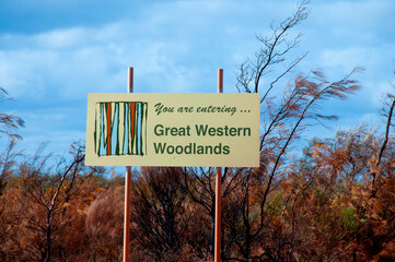 Great Western Woodlands - Australia
