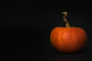 Large pumpkin with a stalk on a black background.