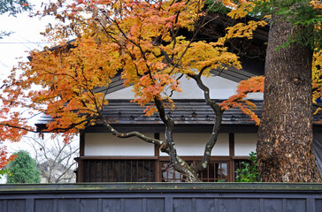 晩秋の角館・田町武家屋敷「西宮家」