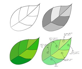 Infographic leaf green set collection hand drawn sketches white isolated background