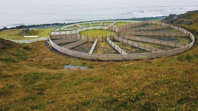 Iconic Rettir farm sheep pen Skagafjorour Iceland