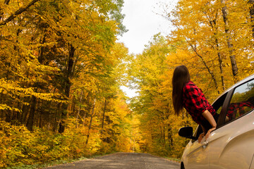 Young woman hanging out of a car window and looking at the road ahead, with autumnal trees in the background