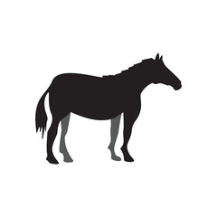 Horse icon illustration design template vector isolated