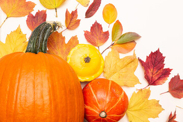 Festive composition of colored autumn leaves, pumpkins and squash on a light background copy space. Thanksgiving or Halloween concept top view