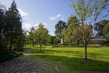 Beautiful Japanese garden with a pond and trees, leaves, nature landscape in Toyama castle, Japan