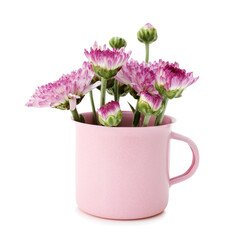 Spring purple flower in small cups cute isolated on white background