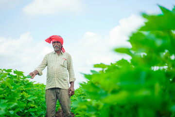 young indian farmer at cotton field , India
