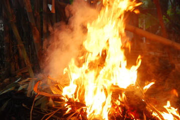 fire was burning in the dark
