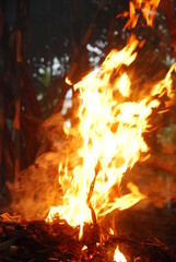 fire was burning in the dark