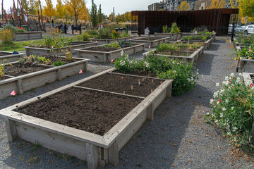 Community garden plots in downtown calgary for growing plants and food