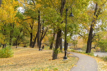 Public park with change of seaon fall autmn colors