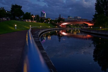 Fototapeta premium City night park in early autumn with pavement, young green leaves and trees and river. Landscape, Japan.