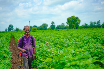 indian farmer spraying pesticide at cotton field